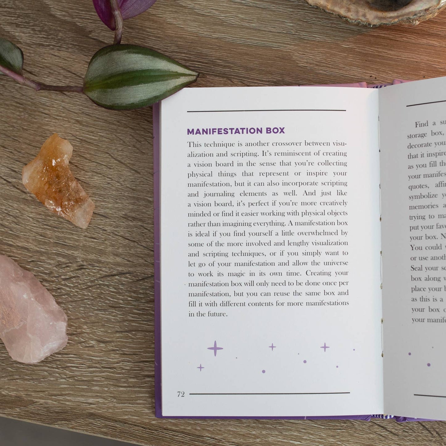 Little Book of Manifestation