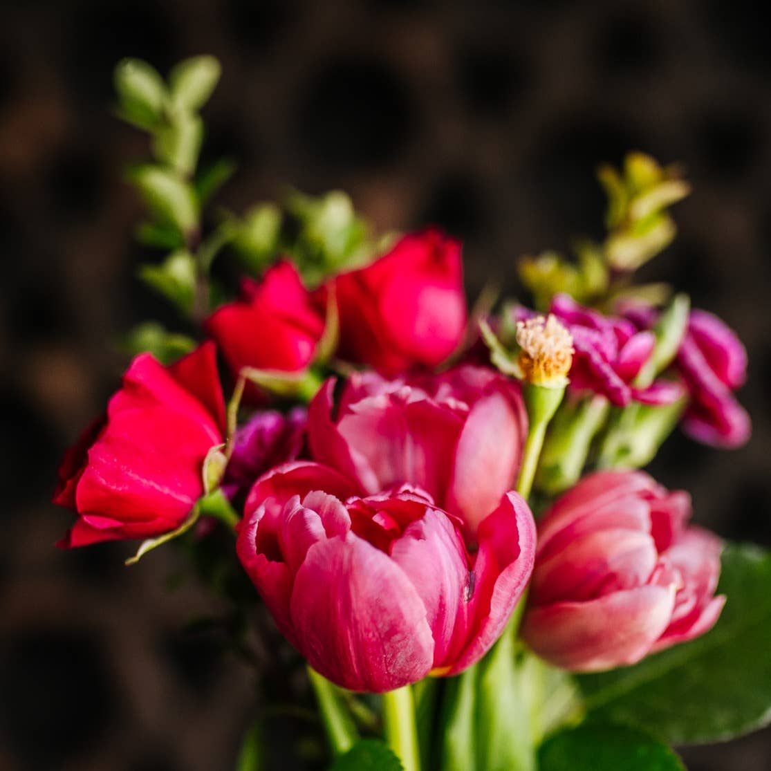 Rice Water Shampoo Bar | Terrace Garden™