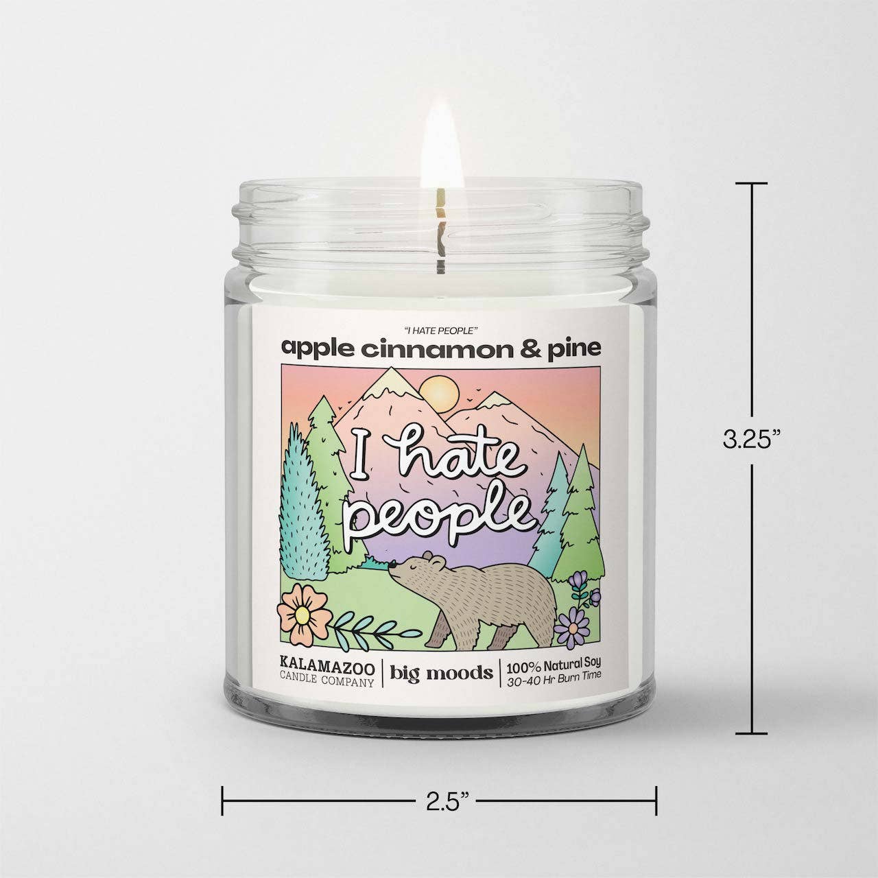 "I Hate People" Apple Cinnamon & Pine Candle