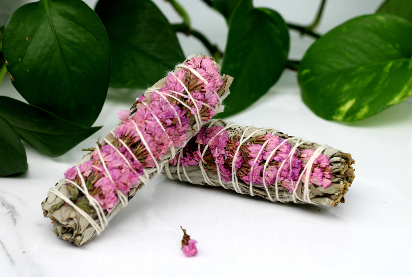 White Sage + Pink Sinuata Flower Bundle
